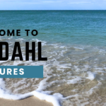 Welcome to Omdahl Ventures